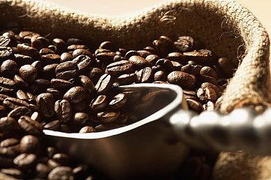 《海贼王：时光旅诗》Steam页面上线 可加入愿望单支持中文